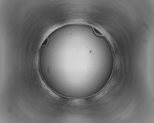 X0000110741390200906151054