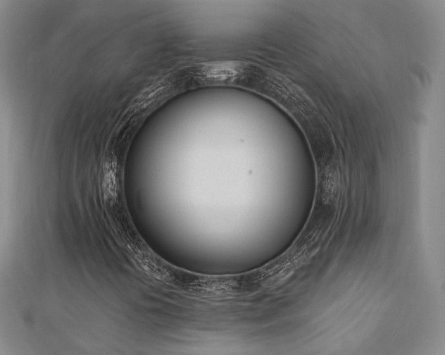 X0000110741394200906151054