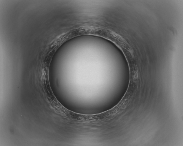 X0000110741397200906151054