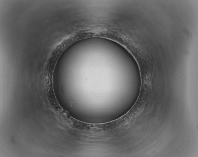 X0000110741398200906151054