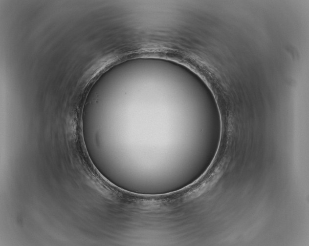 X0000110741401200906151054