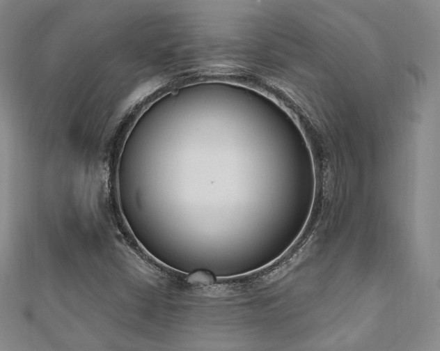 X0000110741402200906151054