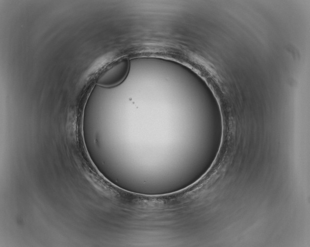 X0000110741403200906151054