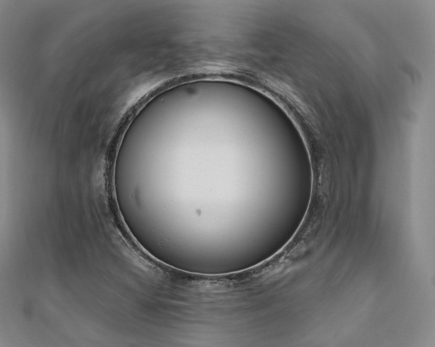 X0000110741404200906151054
