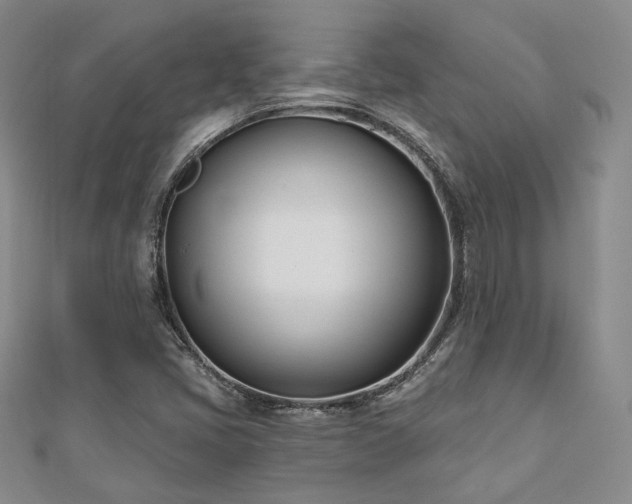X0000110741405200906151054