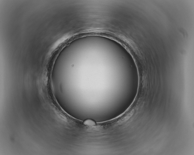 X0000110741406200906151054