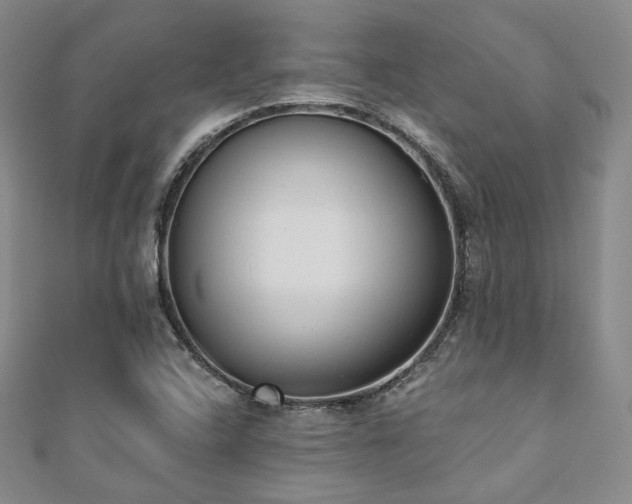 X0000110741408200906151054