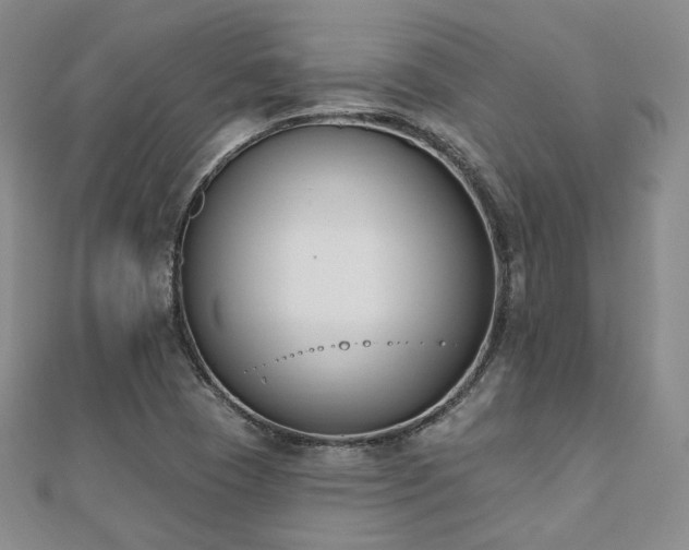 X0000110741409200906151054