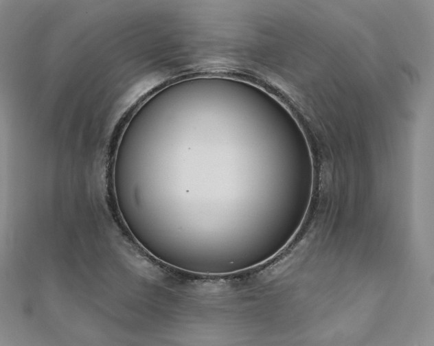 X0000110741410200906151054