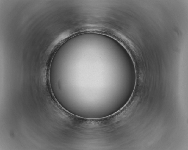 X0000110741411200906151054