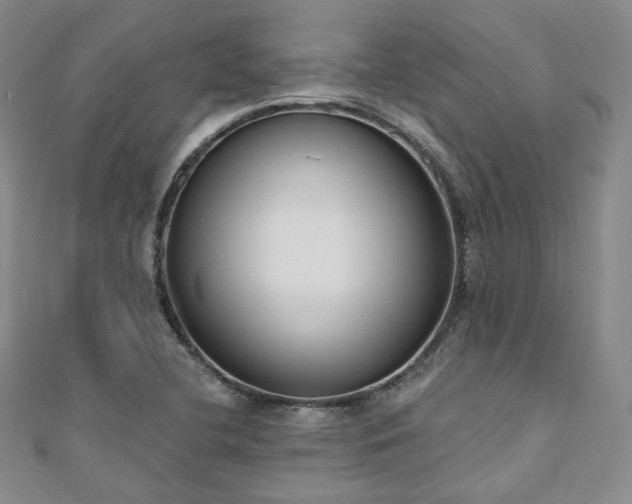 X0000110741412200906151054