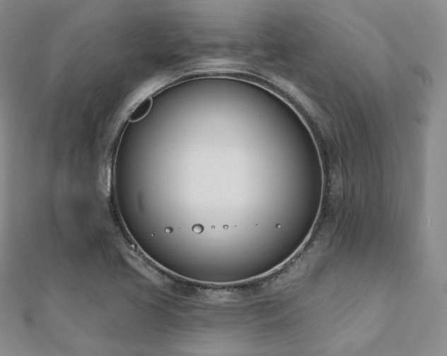X0000110741413200906151054