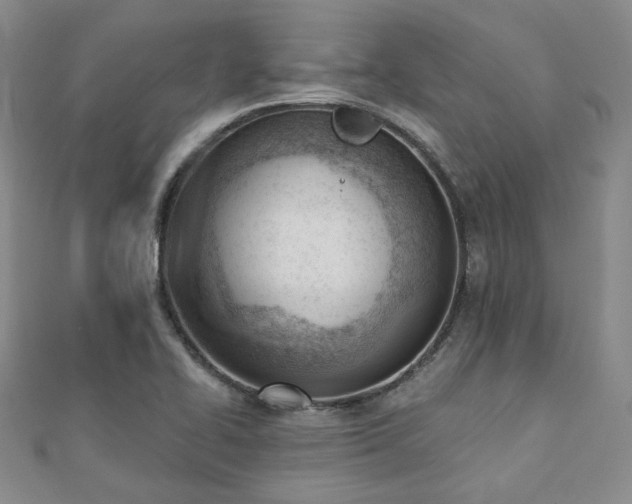 X0000110741414200906151054