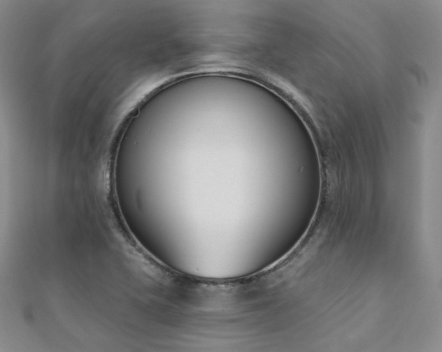 X0000110741415200906151054