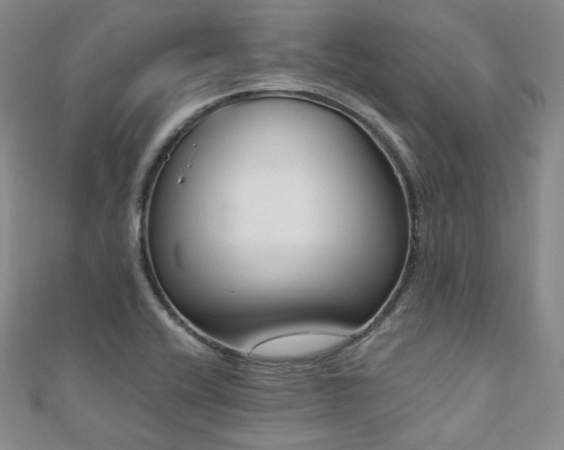 X0000110741416200906151054