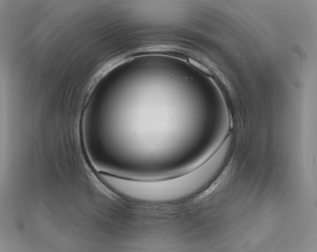 X0000110741417200906151054