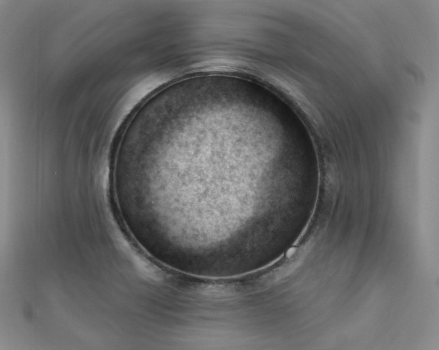 X0000110741418200906151054