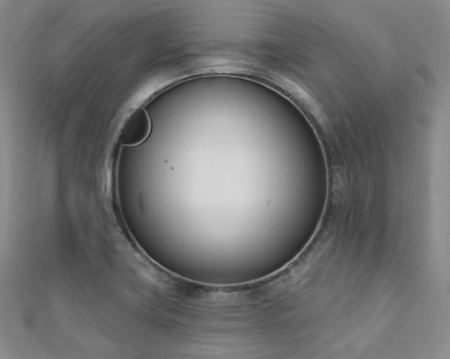 X0000110741419200906151054
