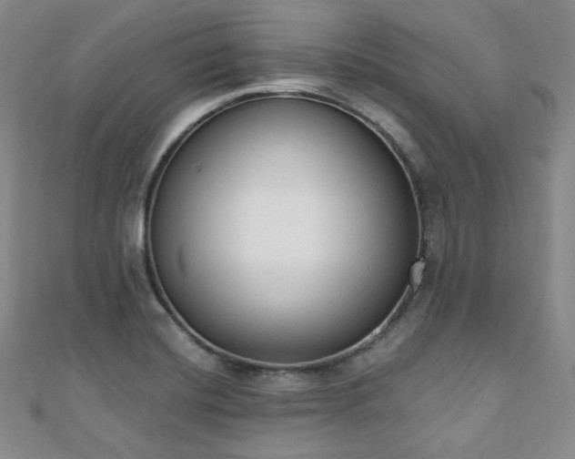 X0000110741420200906151054