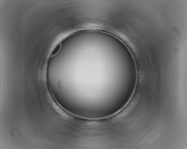 X0000110741421200906151054