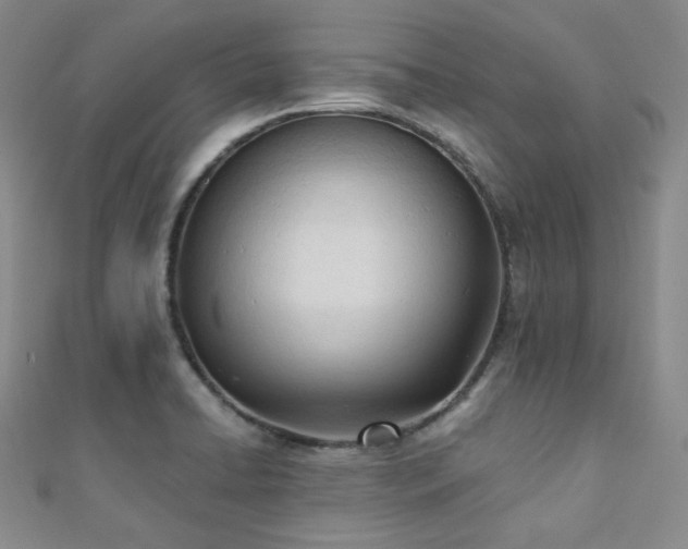 X0000110741422200906151054