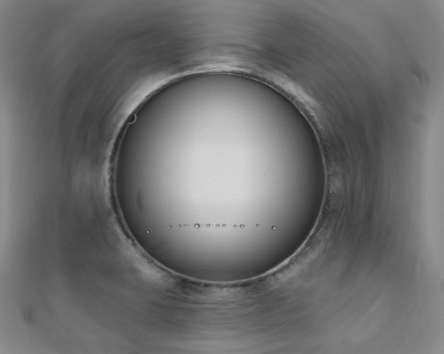 X0000110741423200906151054
