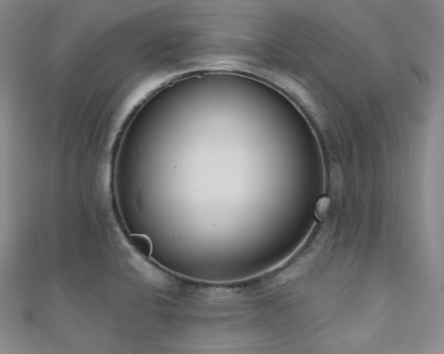 X0000110741424200906151054