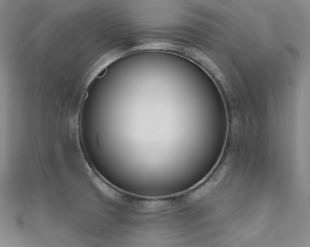 X0000110741425200906151054