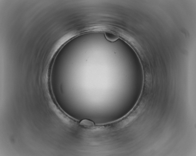 X0000110741426200906151054