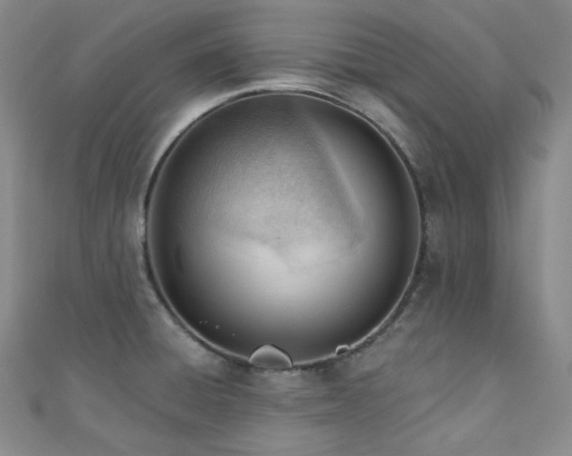 X0000110741428200906151054