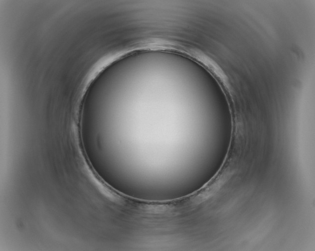 X0000110741429200906151054