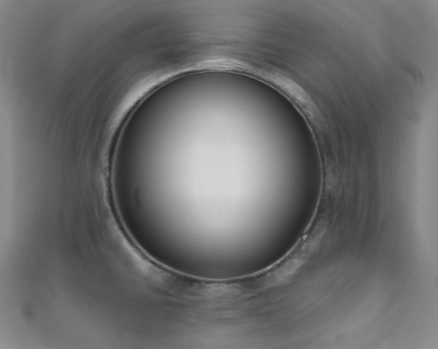 X0000110741430200906151054