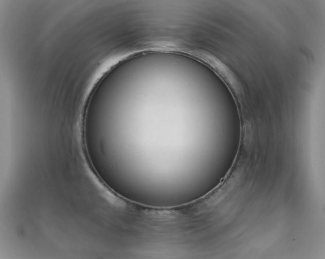 X0000110741432200906151054