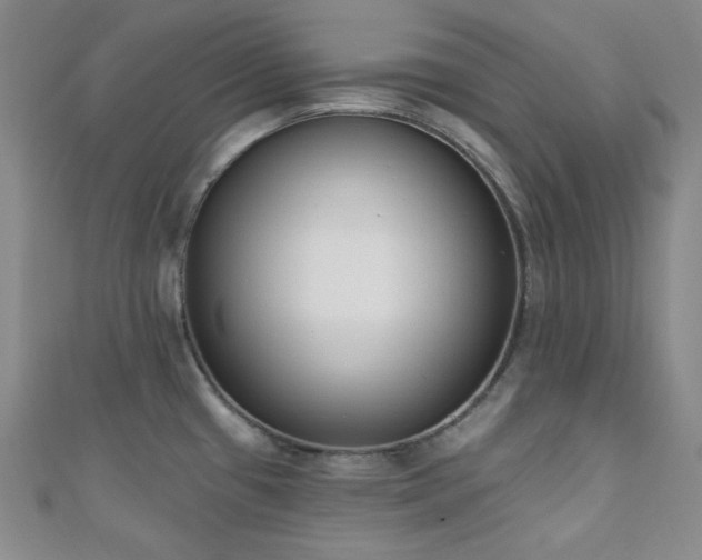 X0000110741433200906151054