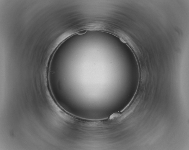 X0000110741434200906151054