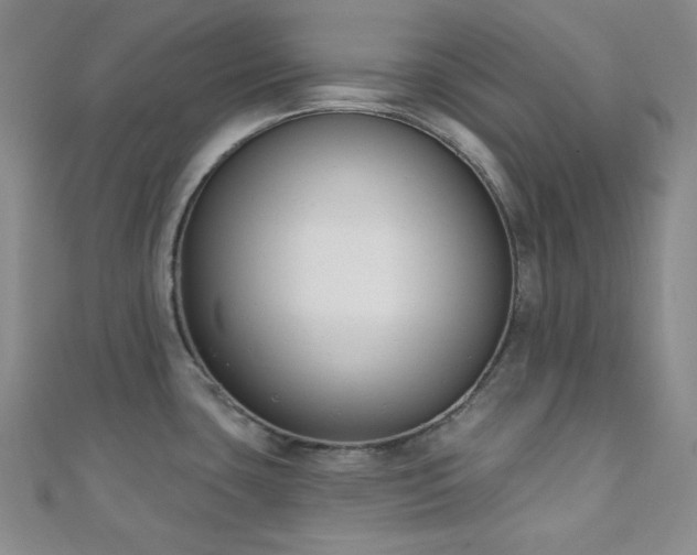 X0000110741435200906151054