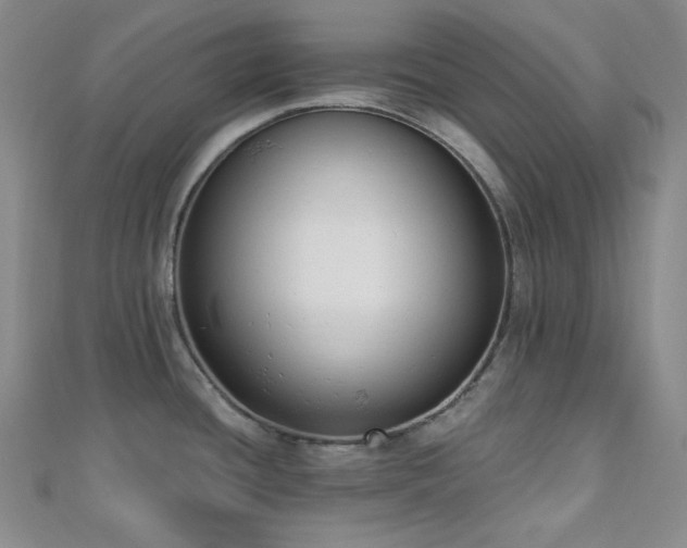 X0000110741436200906151054