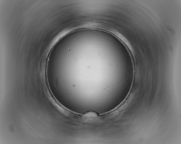 X0000110741437200906151054