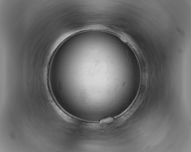X0000110741438200906151054
