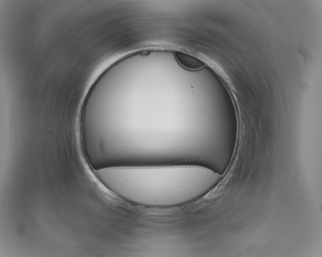 X0000110741440200906151054