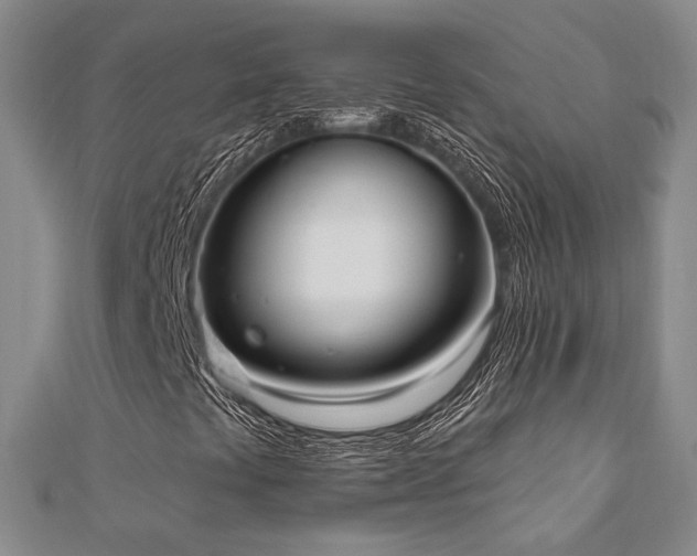 X0000110741441200906151054