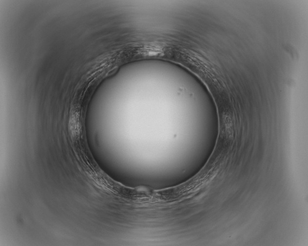 X0000110741442200906151054