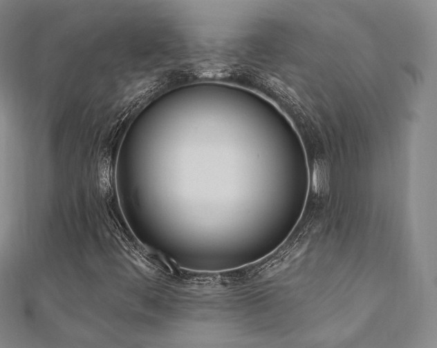 X0000110741444200906151054