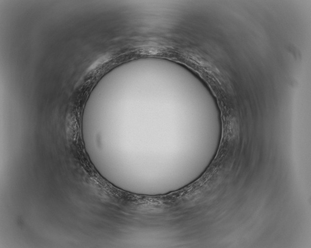 X0000110741446200906151054
