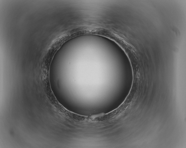 X0000110741447200906151054
