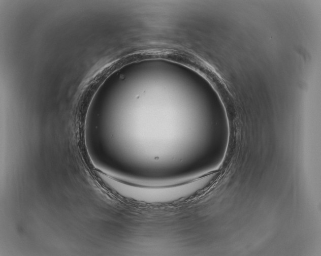 X0000110741448200906151053