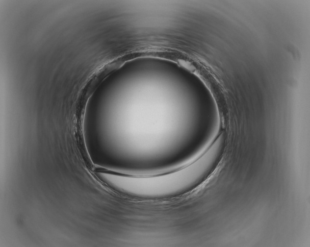 X0000110741449200906151053