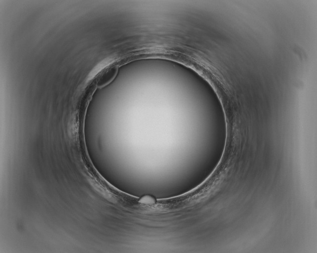 X0000110741450200906151053