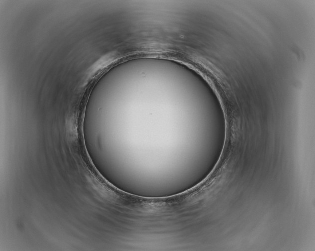 X0000110741451200906151053