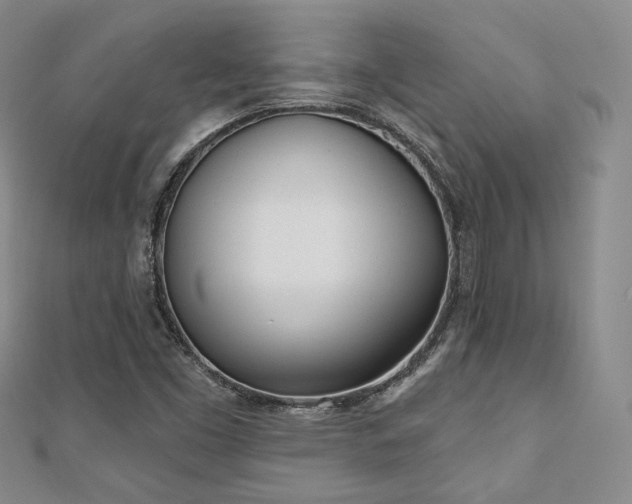 X0000110741453200906151053